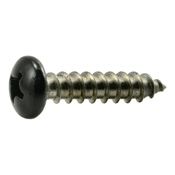 Black Painted 18-8 Stainless Steel Phillips Pan Head Sheet Metal Screws