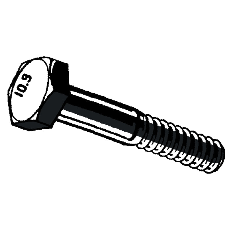 Class 10.9 Metric Hex Cap Screws