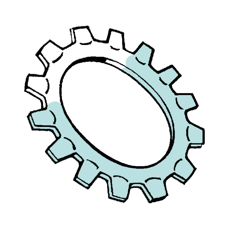 External Tooth Lock Washers