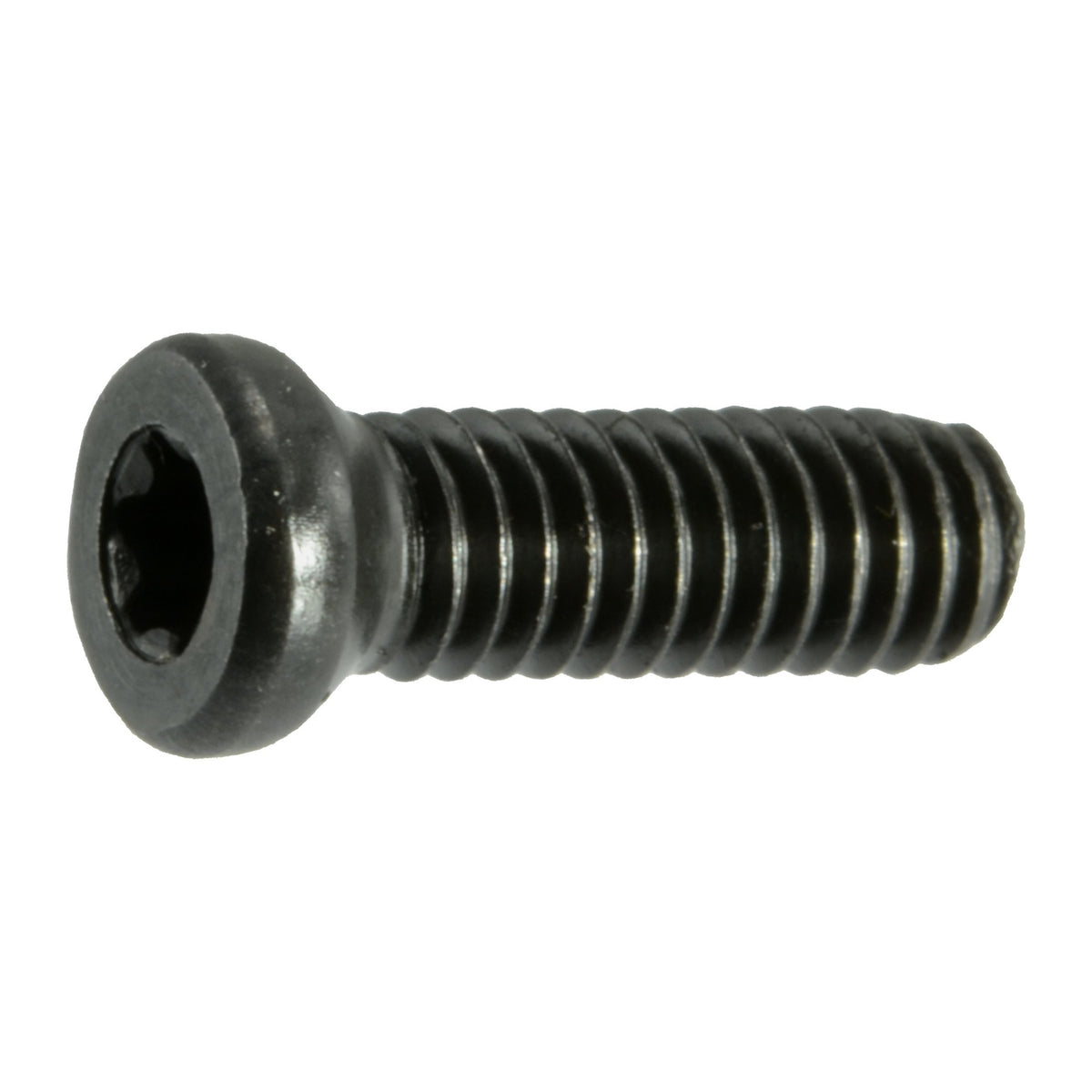 32975 #6-40 x 3/8 weaver oval head torx black oxide gun screw