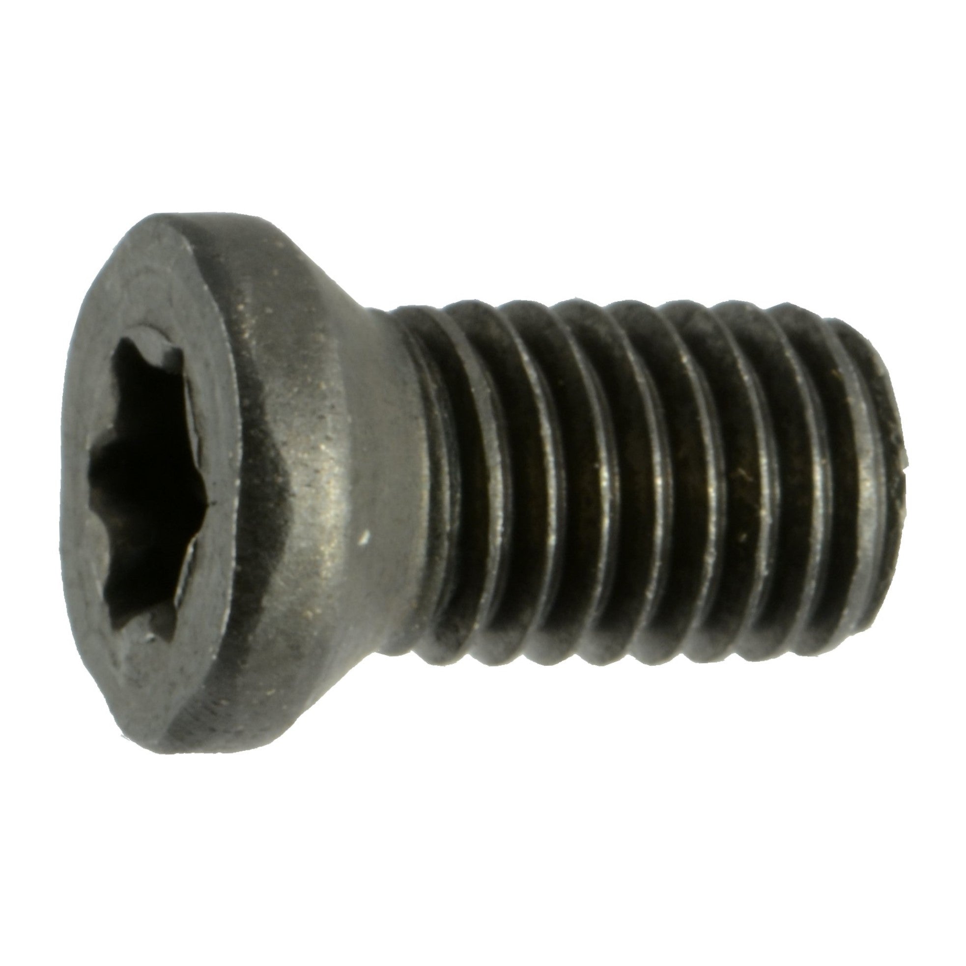 32976 #8-40 x 1/4 weaver oval head torx black oxide gun screw