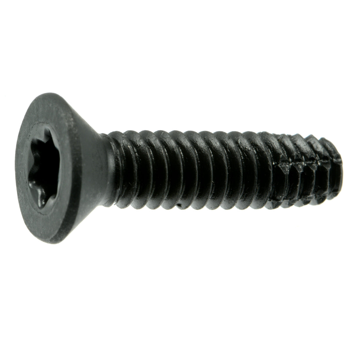 1/4-20 x 1" Star Drive Black Floor Board Saberdrive Screws 1 lb. Box