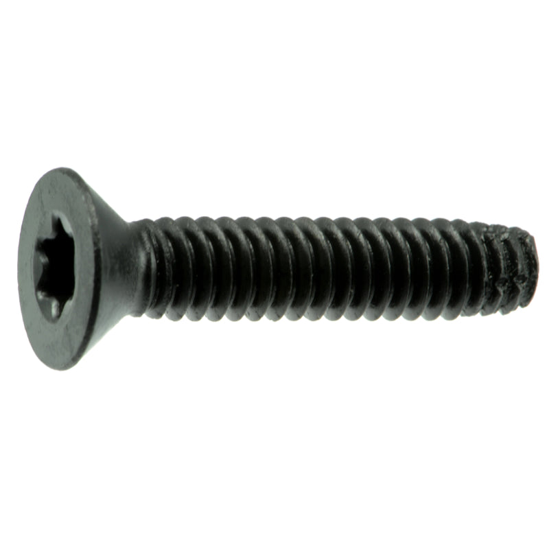 1/4-20 x 1-1/4" Star Drive Black Floor Board Saberdrive Screws 1 lb. Box