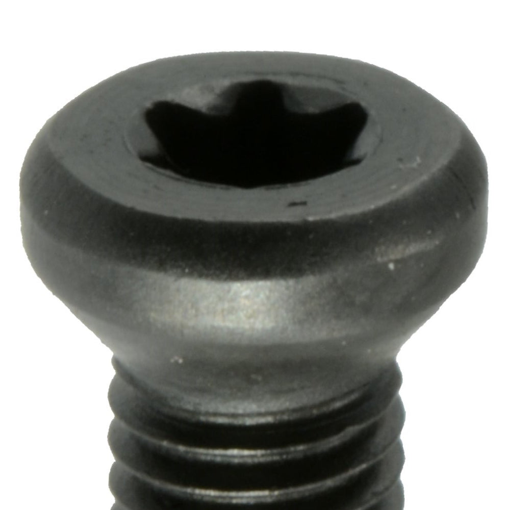 close up of weaver oval head torx machine screw