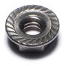 1/4"-20 18-8 Stainless Steel Coarse Thread Serrated Lock Nuts