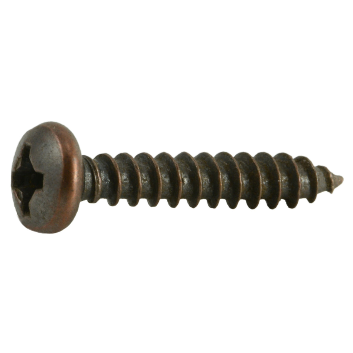 #6 x 3/4" Venetian Bronze Plated Steel Phillips Pan Head Sheet Metal Screws