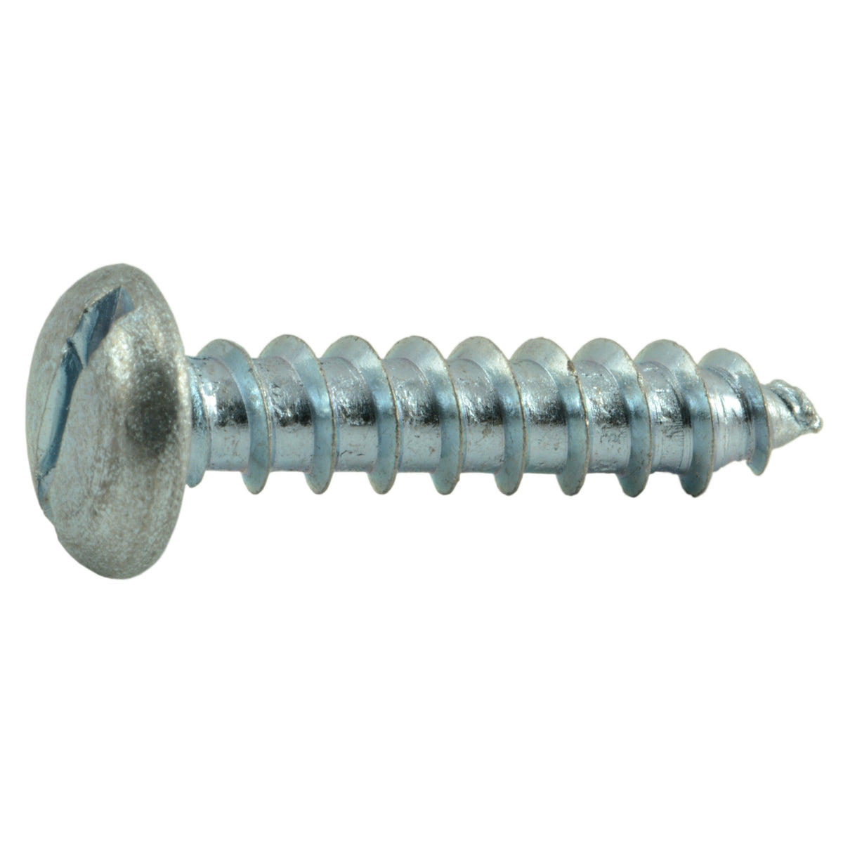 Paulin 1/4 X 1-inch Hex Head Lag Bolt - Zinc Plated | The Home - View #7