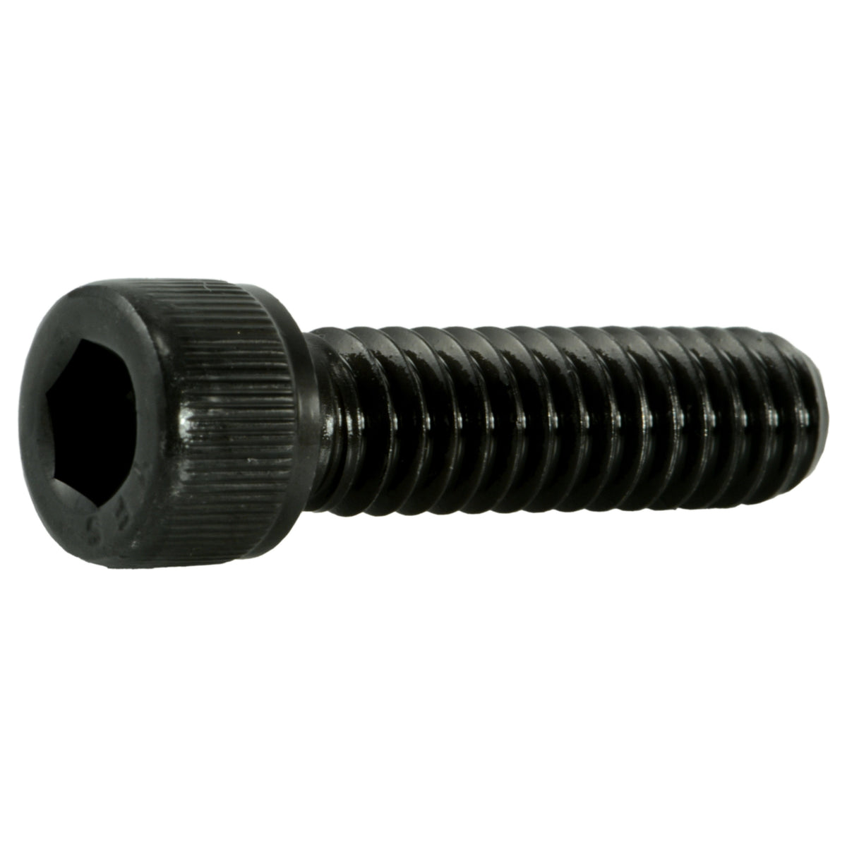 1 4 20 X 7 8 Steel Coarse Thread Socket Cap Screws Fastener Line 1-4-20-x-7-8-steel-coarse-thread-socket-cap-screws-fastener-line