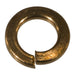 #6 x 1/8" x 1/4" Bronze Split Lock Washers