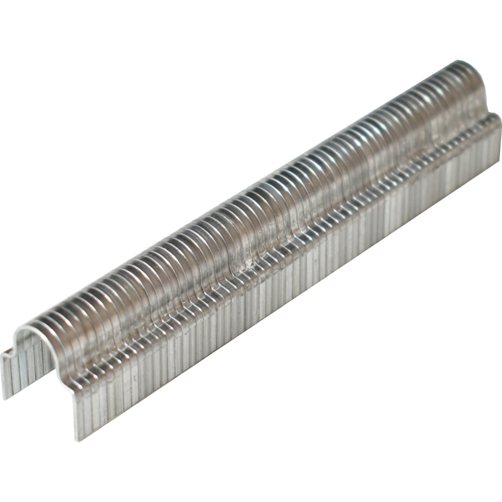 Metal staple strip on a white background