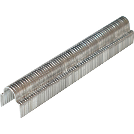 Metal staple strip on a white background
